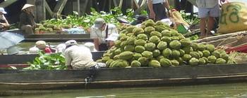 Tourists are enjoying Wonders of the South - TL514